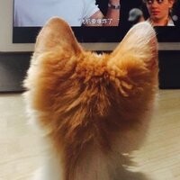 潭石