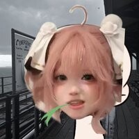 祈枝枝